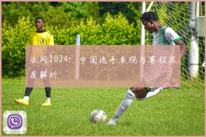 法网2024:中国选手表现与赛程深度解析