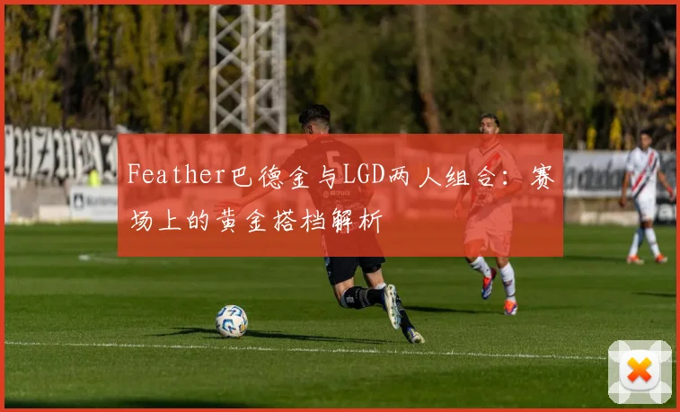 Feather巴德金与LGD两人组合：赛场上的黄金搭档解析